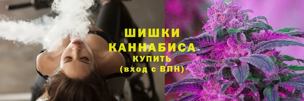 сатива Каменск-Шахтинский