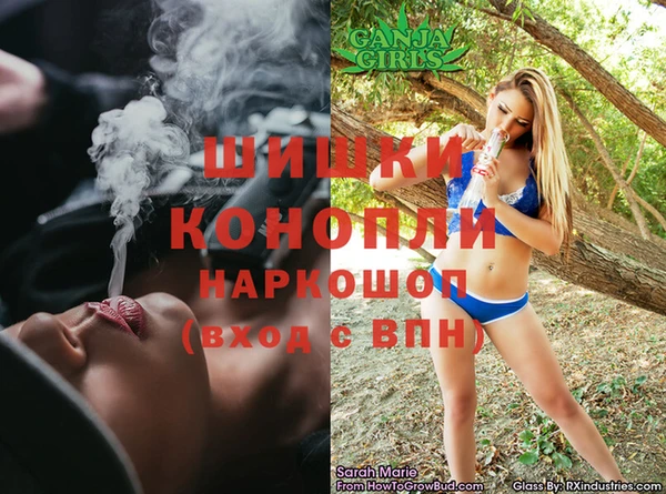 шишки Касимов