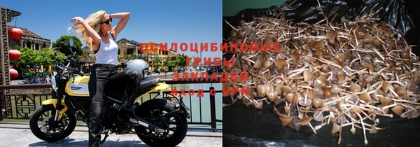 дживик Карпинск