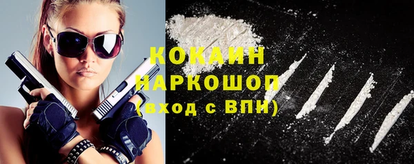 шишки Касимов