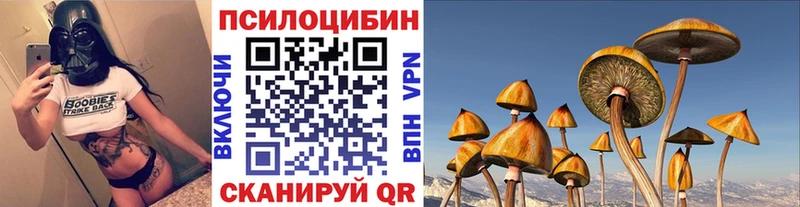 Псилоцибиновые грибы ЛСД  Купить  Бабушкин 